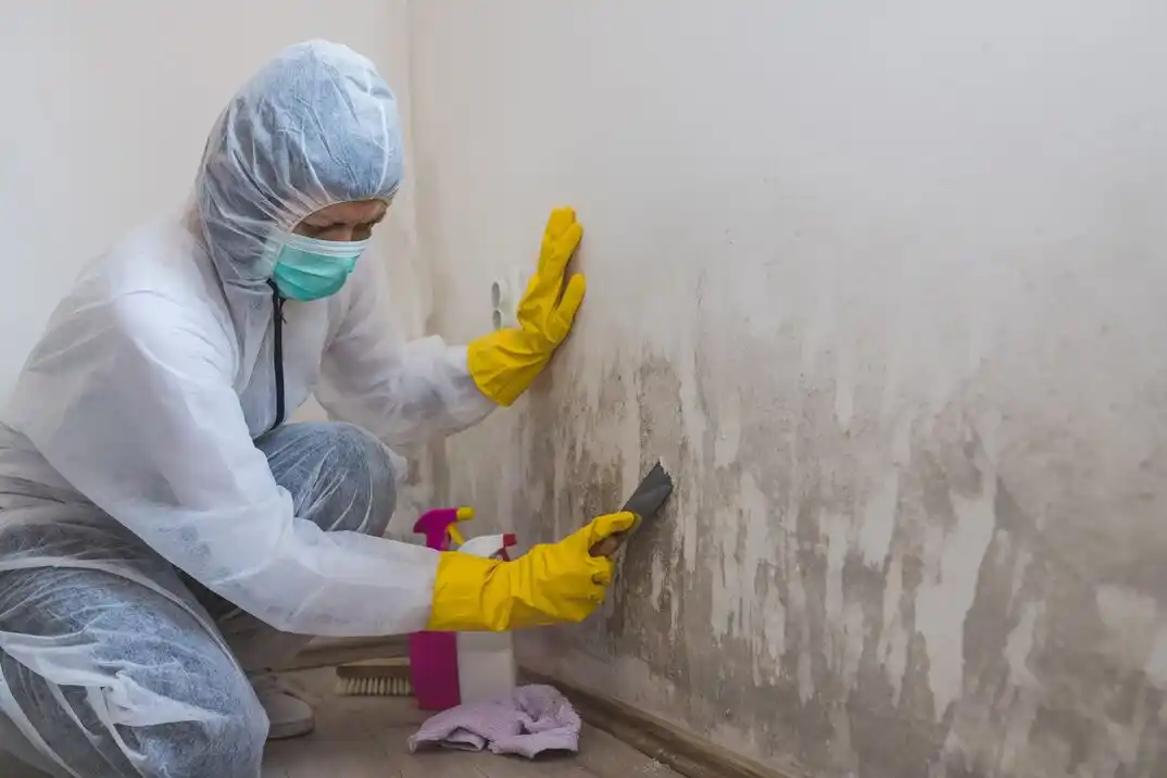 water damage restoration service North Brainerd